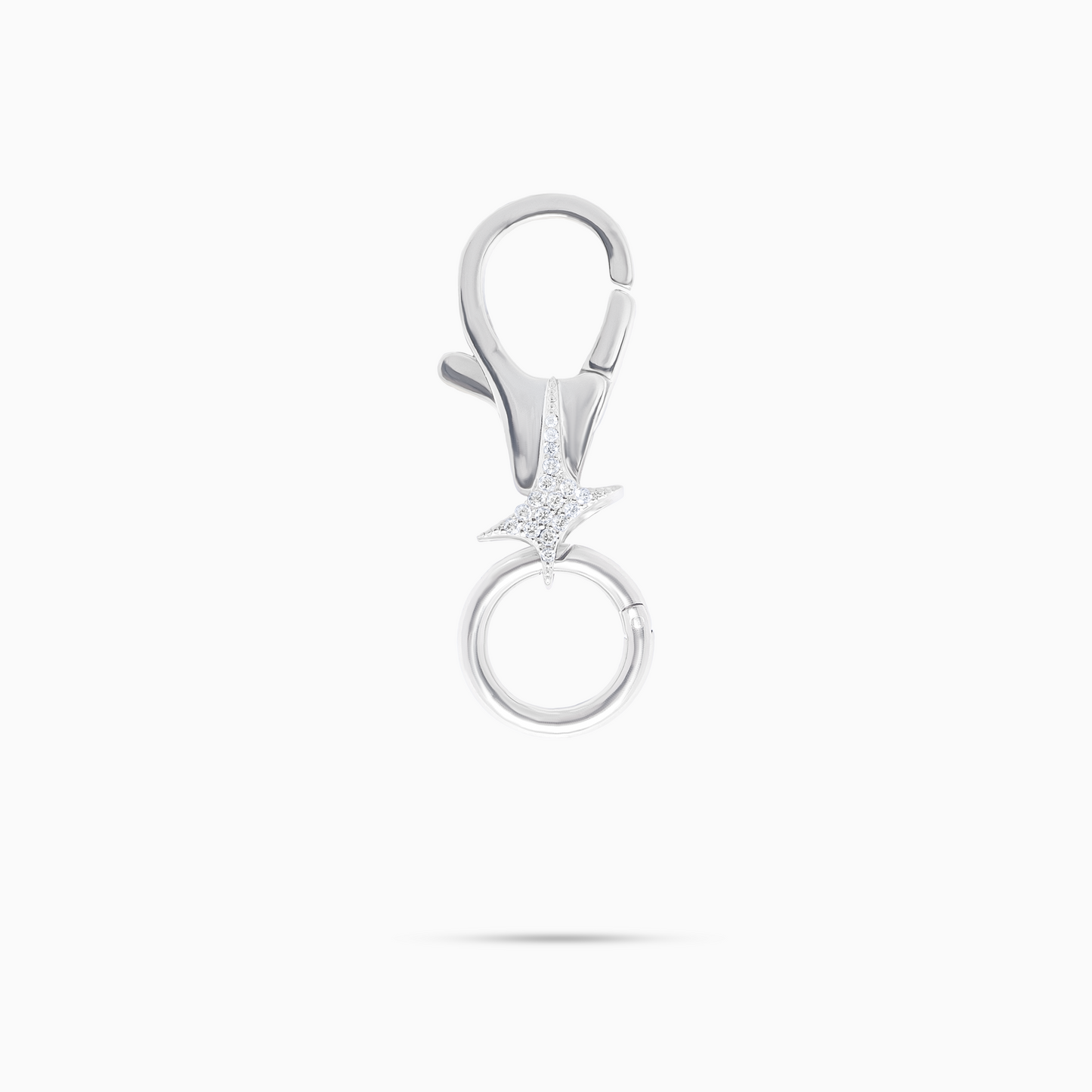 Silver Signature Carabiner