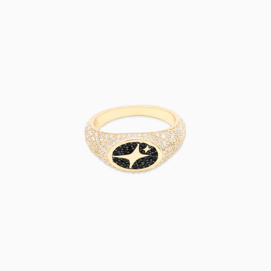 Iced Oval signet ring gold