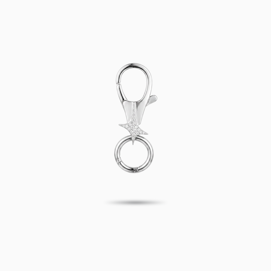 Silver Signature Carabiner