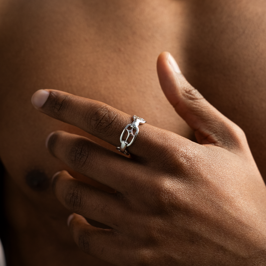H-ring signature argentée